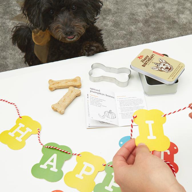 Dog Birthday Kit by Kikkerland